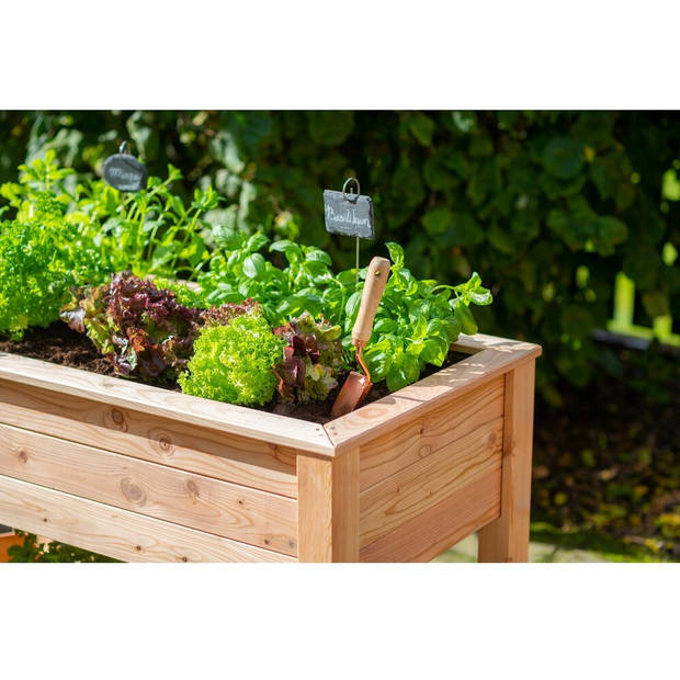 Westmann Plantenbak larikshouten hoge Moestuin Emily met plank 120x65x75 cm WM102420