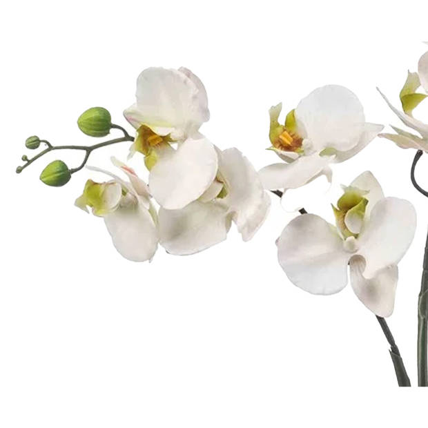 Emerald Kunstbloem Orchidee - 100 cm - wit/groen - losse tak - kunst zijdebloem - Phalaenopsis - Kunstbloemen
