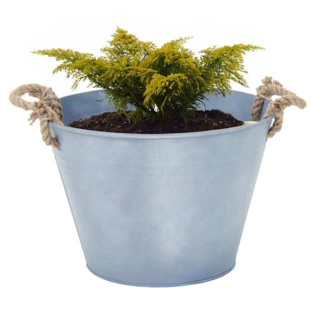 Mega Collections plantenpot/bloempot Old Rope - zink - zilver - D31 X H21 cm - IJzeren emmer / teil