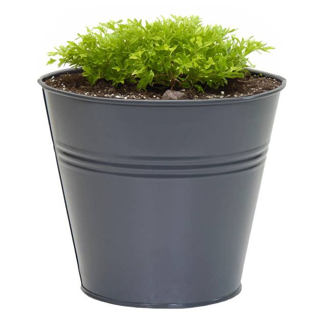 Mega Collections plantenpot/bloempot Bob - 2x - zink - antraciet - D11 X H10 cm - IJzeren emmer / teil