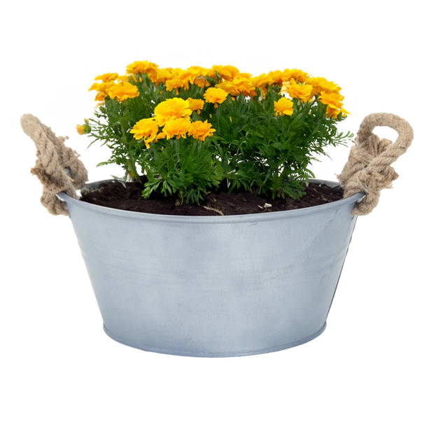 Mega Collections teil/plantenpot Old Rope - zink - zilver - D26 X H12.5 cm - IJzeren emmer / teil