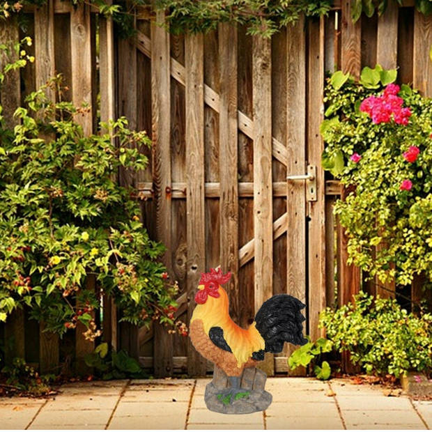 Sunnydays Tuin decoratie Haan/kippen beeldje - Polyresin - 21 x 24 cm - buiten - multi kleuren - Tuinbeelden