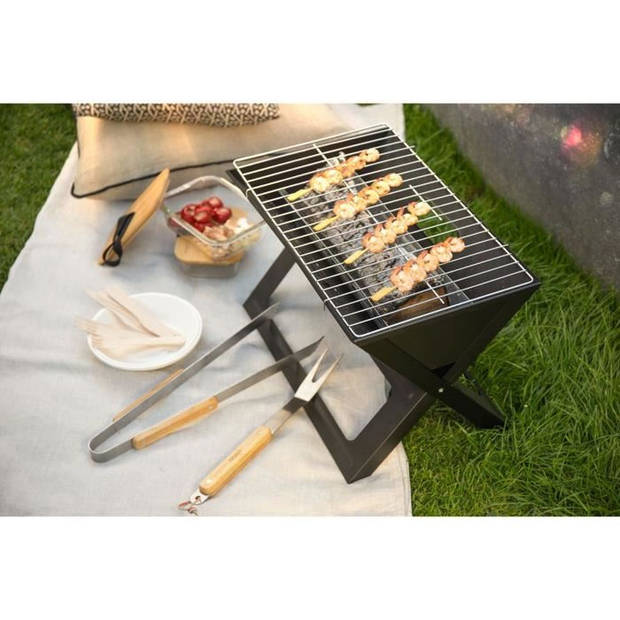 LIVOO DOC268 opvouwbare houtskoolbarbecue - Geverfd staal - Kookoppervlak 44,5x28,5 cm