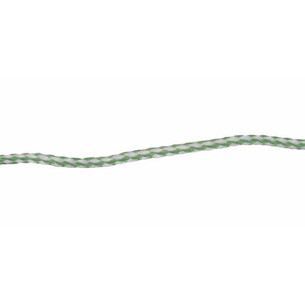 AMIG Paracord touw - 10 meter - D4mm - 100kg - PP/PE - lichtgroen/wit - Touw