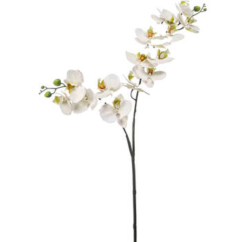 Emerald Kunstbloem Orchidee - 100 cm - wit/groen - losse tak - kunst zijdebloem - Phalaenopsis - Kunstbloemen