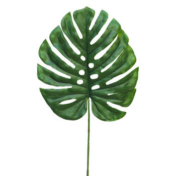 Nova Nature - (Best) Monstera leaf Futura small 46cm green