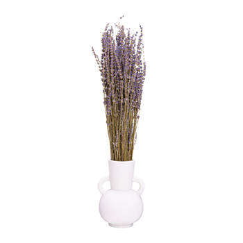 QUVIO Decoratieve vaas met handvatten– Keramiek – Wit