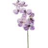 Emerald Kunstbloem Orchidee Vanda - 77 cm - paars/lila - losse tak - kunst zijdebloem - Kunstbloemen