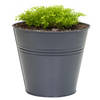 Mega Collections plantenpot/bloempot Bob - zink - donkerblauw - D11 X H10 cm - IJzeren emmer / teil