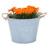 Mega Collections plantenpot/bloempot Old Rope - zink - zilver - D40 X H29 cm - IJzeren emmer / teil