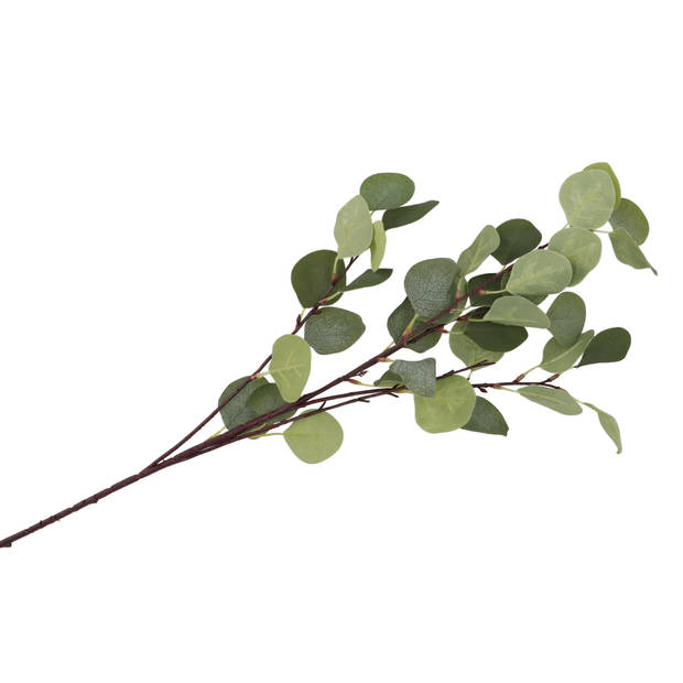 DK Design Kunstbloem Eucalyptus tak Real Touch - 2x - 90 cm - groen - Kunstbloemen