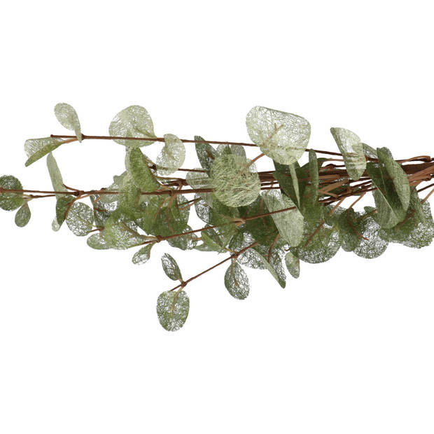 DK Design Kunstbloem Eucalyptus tak Silk - 72 cm - groen - Kunstbloemen