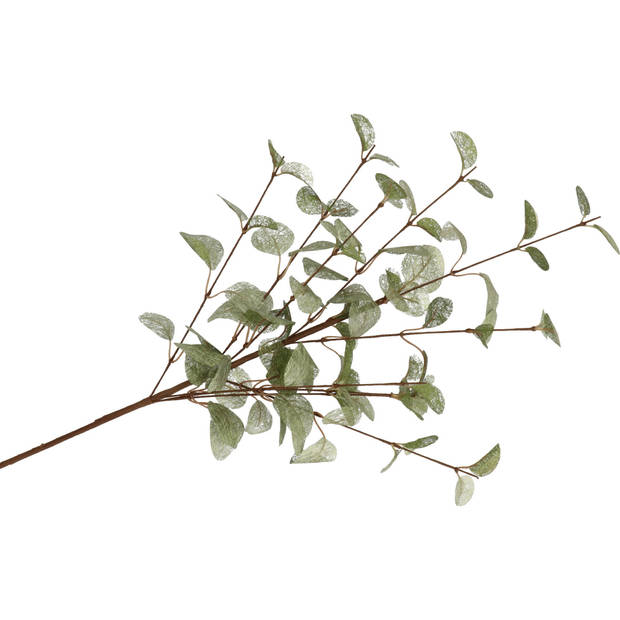 DK Design Kunstbloem Eucalyptus tak Silk - 2x - 72 cm - groen - Kunstbloemen