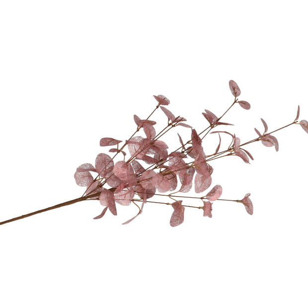 DK Design Kunstbloem Eucalyptus tak Silk - 72 cm - oudroze - Kunstbloemen