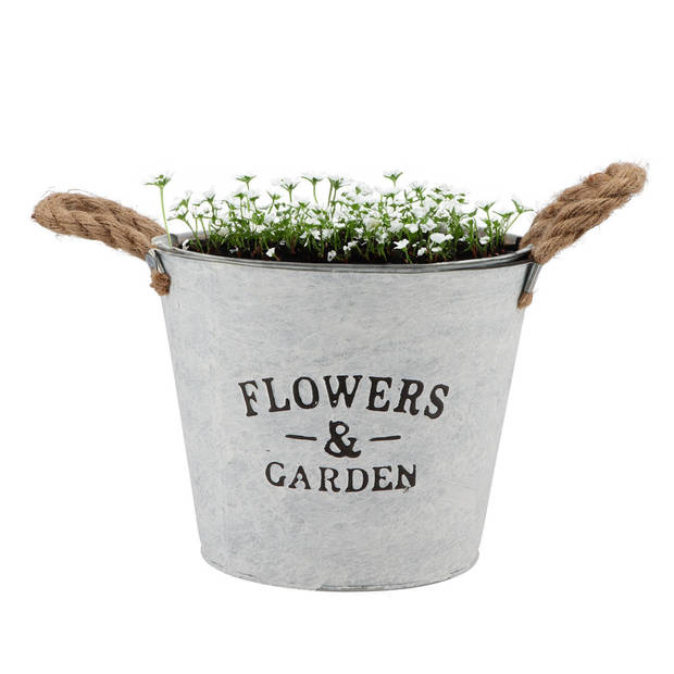 DK Design plantenpot/bloempot emmer Jardin- zink - wit - D22 x H16 cm - Plantenpotten