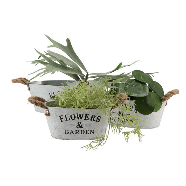 DK Design plantenpot/bloempot teil Jardin- zink - wit - L26 x D17 x H11 cm - Plantenbakken