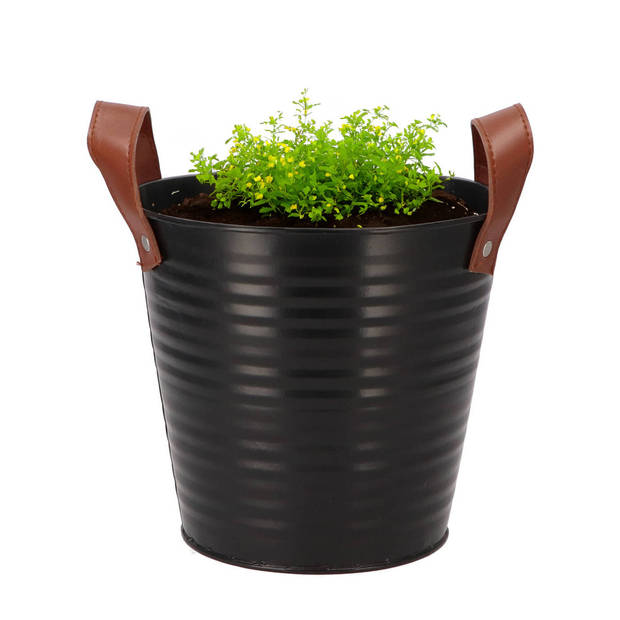 DK Design plantenpot/bloempot emmer Leather- 2x - zink - zwart - D18 x H17 cm - Plantenpotten