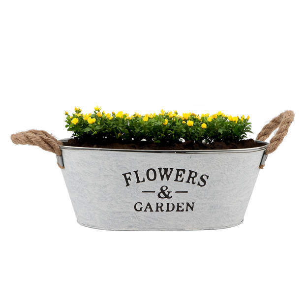 DK Design plantenpot/bloempot teil Jardin- 2x - zink - wit - L30 x D20 x H12 cm - Plantenpotten