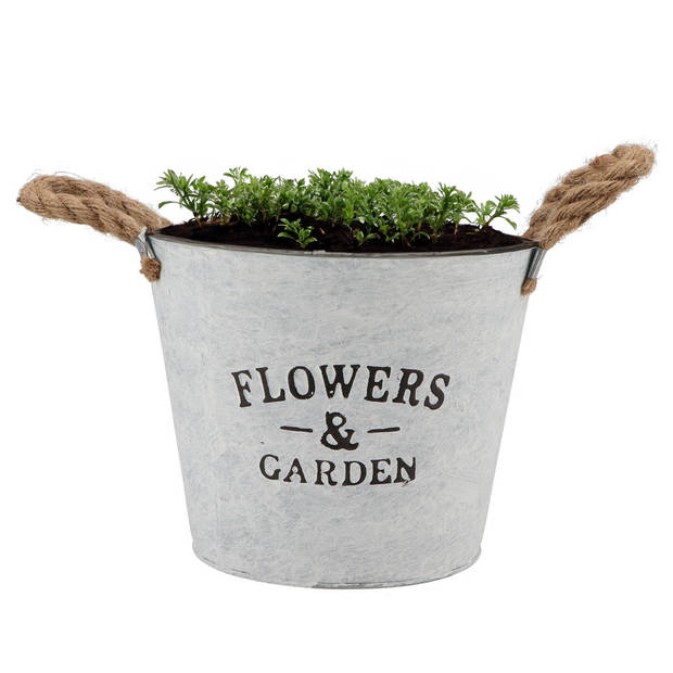 DK Design plantenpot/bloempot emmer Jardin- 2x - zink - wit - D23 x H18 cm - Plantenpotten