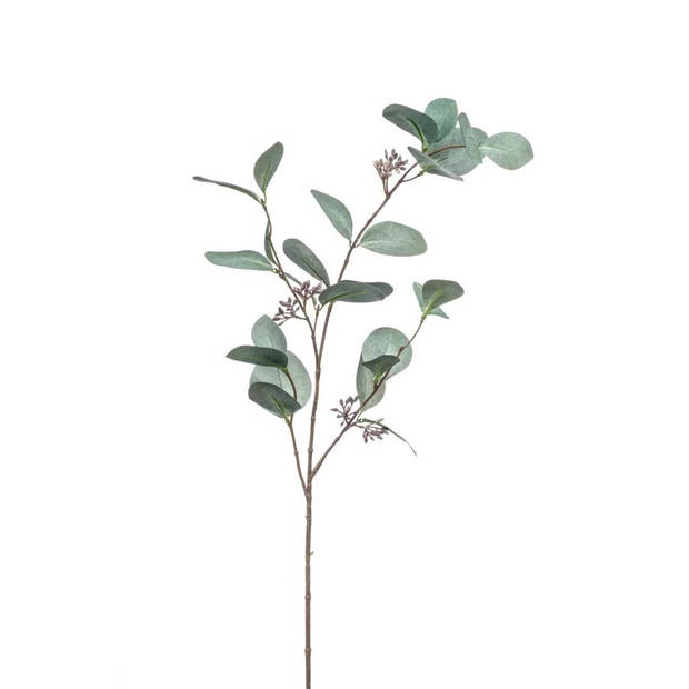 Emerald Kunstbloem Eucalyptus tak - 3x - 73 cm - groen - Kunstbloemen