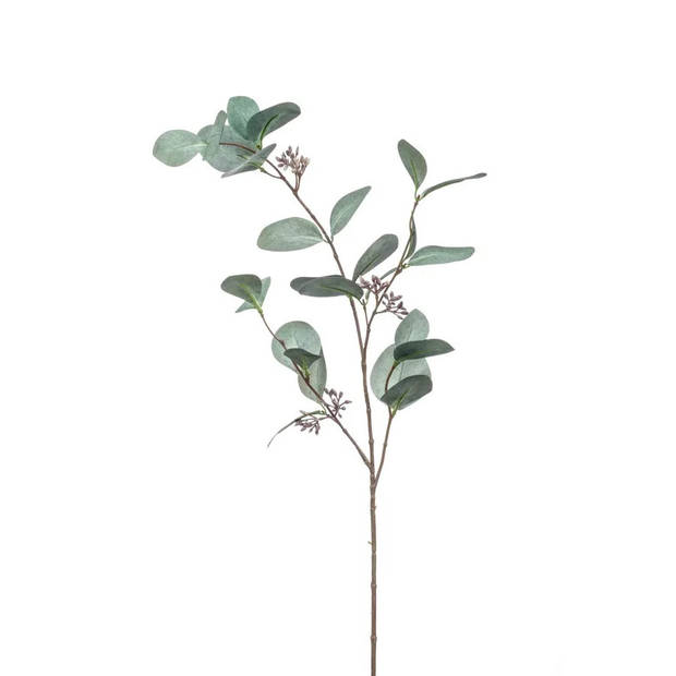 Emerald Kunstbloem Eucalyptus tak - 73 cm - groen - Kunstbloemen