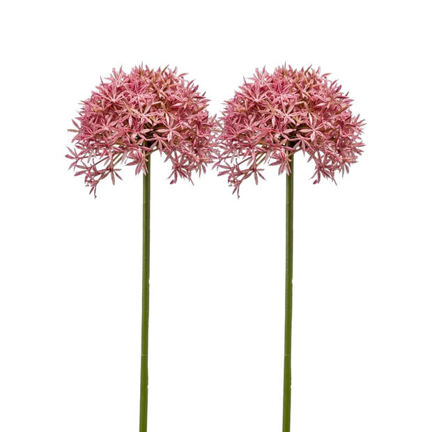 Emerald Allium/Sierui kunstbloem - 2x - losse steel - roze - 62 cm - Natuurlijke uitstraling - Kunstbloemen