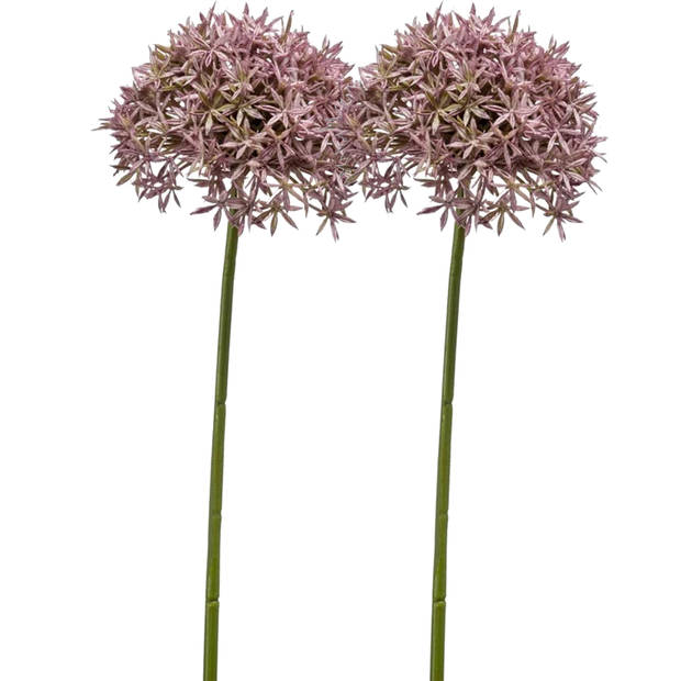 Emerald Allium/Sierui kunstbloem - 2x - losse steel - lila - 62 cm - Natuurlijke uitstraling - Kunstbloemen