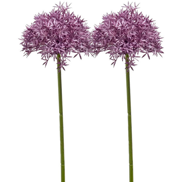 Emerald Allium/Sierui kunstbloem - 2x - losse steel - paars - 62 cm - Natuurlijke uitstraling - Kunstbloemen