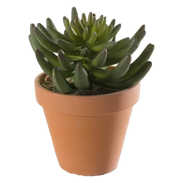 Kunstplant Sedum Rupestre - 2x - groen - in terracotta pot - 14 cm - Kunstplanten