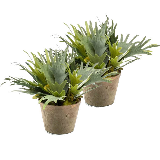 Emerald Kunstplant Staghorn varen - groen - in grijs betonlook pot - 38 cm - Kunstplanten