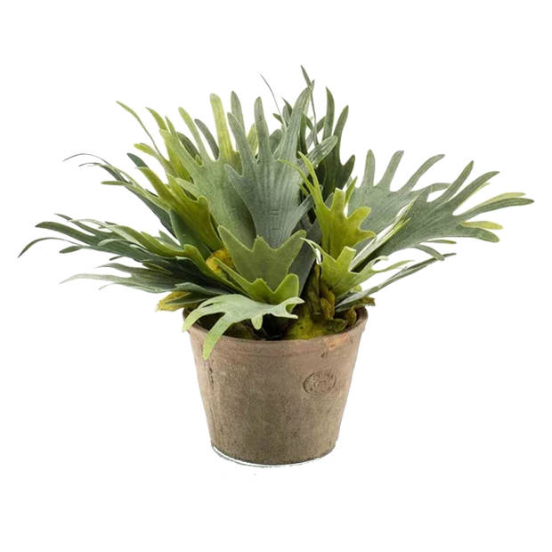 Emerald Kunstplant Staghorn varen - groen - in grijs betonlook pot - 38 cm - Kunstplanten