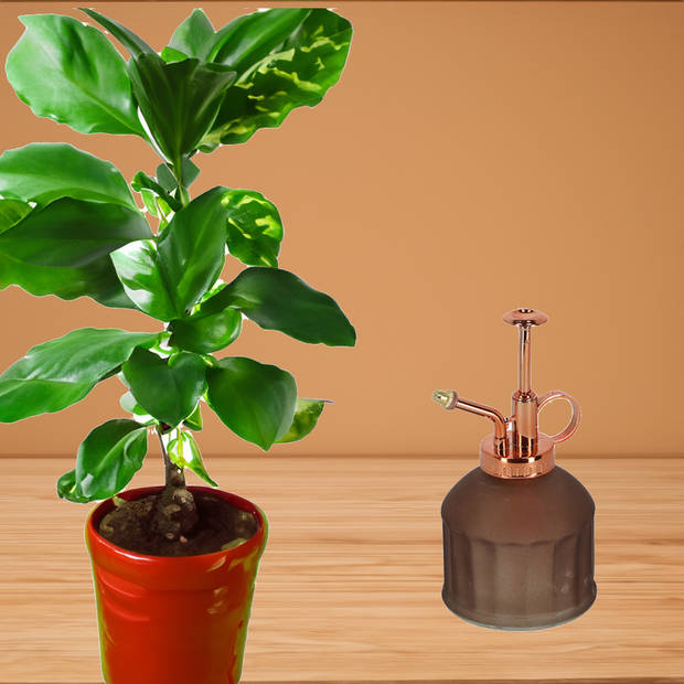 Esschert Design plantenspuit/vernevelaar - glas - chocolade bruin/koper - 15.5 cm - Plantenspuiten