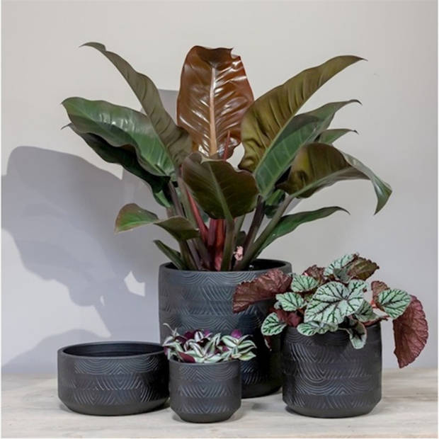 Floran Bloempot/plantenpot - antraciet - voor kamerplant - D19xH17 cm - Plantenpotten