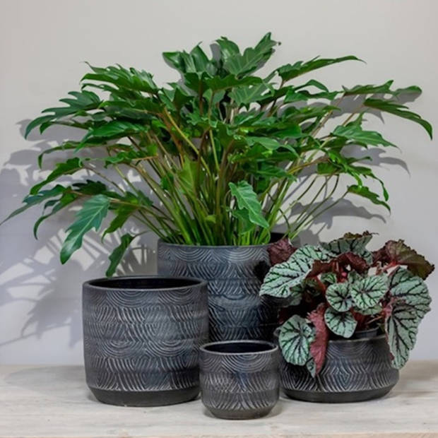 Floran Bloempot/plantenpot - grijs - voor kamerplant - D39 x H36 cm - Plantenpotten