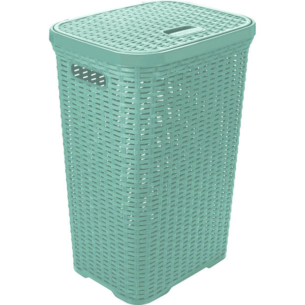 Hega Hogar Wasmand met deksel Rotan - mintgroen - kunststof - 60L - 34 x 43 x 62 cm - Wasmanden