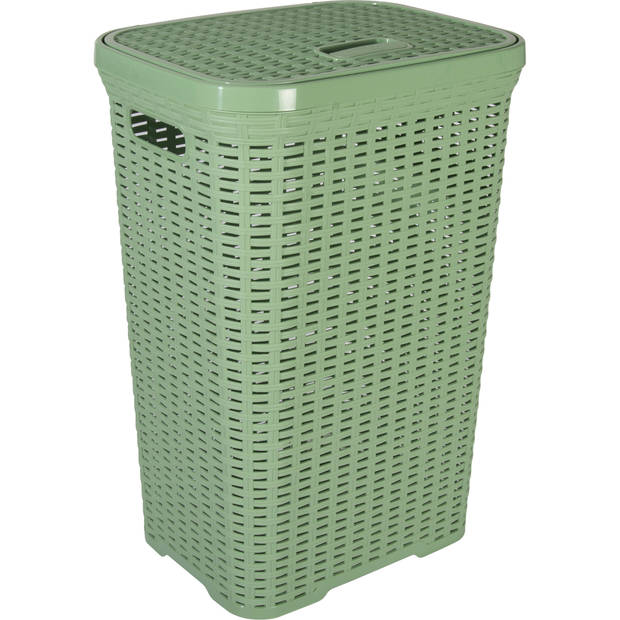 Hega Hogar Wasmand met deksel Rotan - 2x - groen - kunststof - 60L - 34 x 43 x 62 cm - Wasmanden