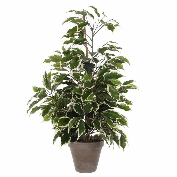 Groen/witte ficus kunstplant 65 cm - Kunstplanten