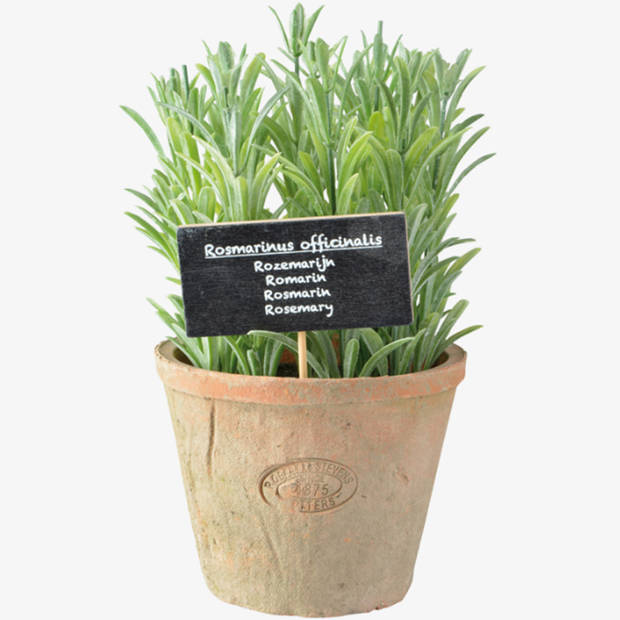 Esschert Design Kunstplant/kruiden rosemarijn - in oude terracotta pot - 18 cm - kruiden - Kunstplanten