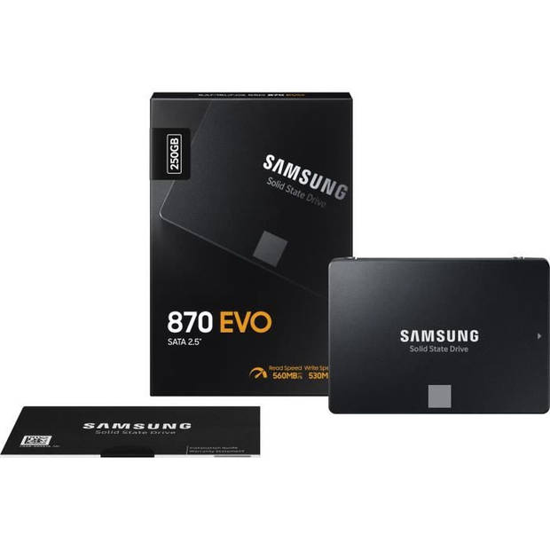 SAMSUNG - 870 EVO SATA 2,5 '' 1 TB SSD-harde schijf