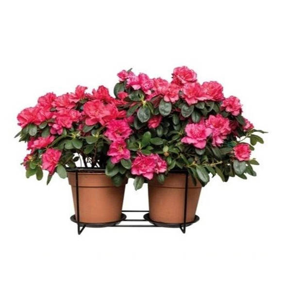 Gerimport Balkon bloempothouder dubbel - 2x - bloembak met ophanging - zwart metaal - 46 x 28 x 21 cm - Plantenbakbeugel