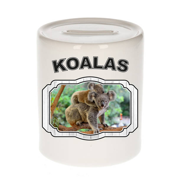 Dieren liefhebber koala spaarpot - koalaberen cadeau - Spaarpotten