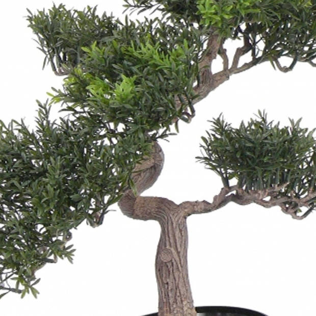 Bonsai boom tealeaf - Kunstplanten