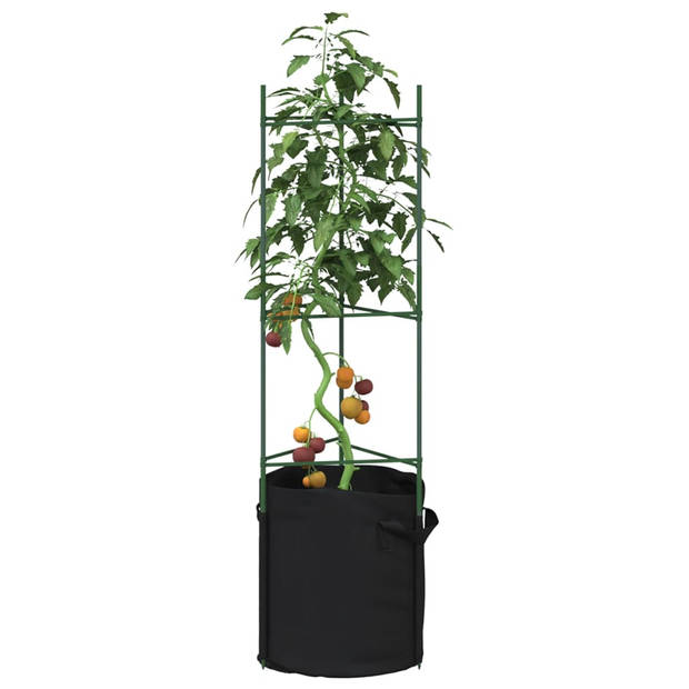 vidaXL Tomatenkooi met plantenzak 2 st 116 cm staal en polypropeen