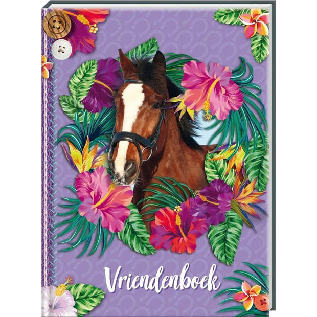 Image Books Vriendenboek Paarden. 4+