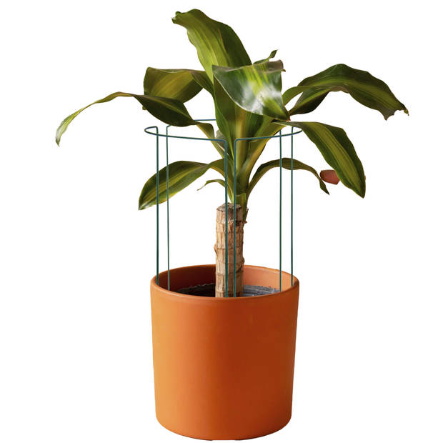 Springos Plantensteun - Metaal - Bloemen - Groen - Set Van 3 - 45 Cm