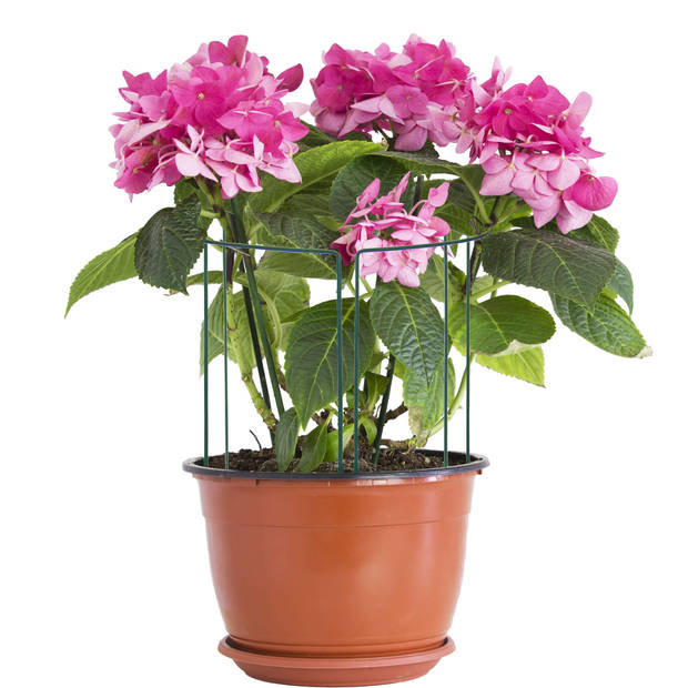 Springos Plantensteun - Metaal - Bloemen - Groen - Set Van 3 - 45 Cm