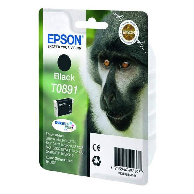 Epson T0891 zwart cartridge