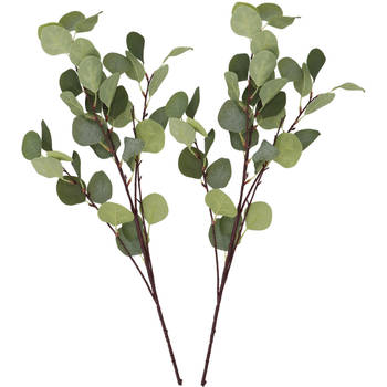 DK Design Kunstbloem Eucalyptus tak Real Touch - 2x - 90 cm - groen - Kunstbloemen