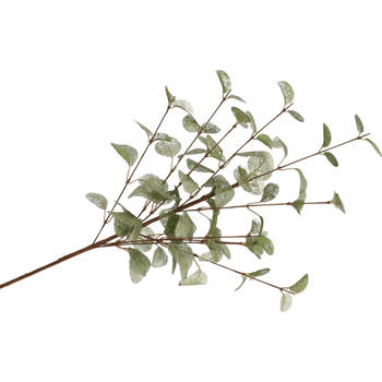DK Design Kunstbloem Eucalyptus tak Silk - 72 cm - groen - Kunstbloemen