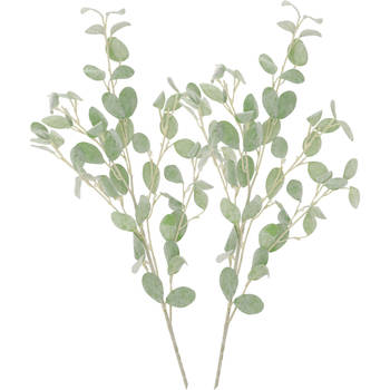 DK Design Kunstbloem Eucalyptus tak Real Touch - 2x - 90 cm - lichtgroen - Kunstbloemen